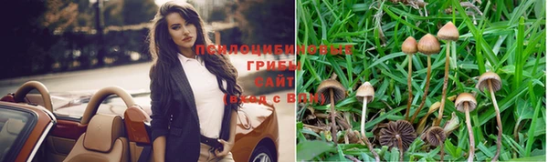 амф Армянск